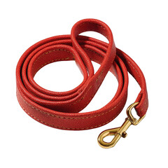 Fototapeta premium Coiled red leather dog leash with a gold metal clip lies on a black background
