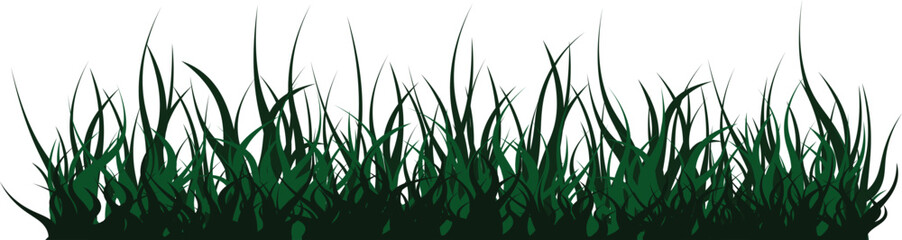 Realistic green grass vector isolated on a transparent background. Lawn or turf clipart element for landscape design, banner, nature poster, or garden decoration