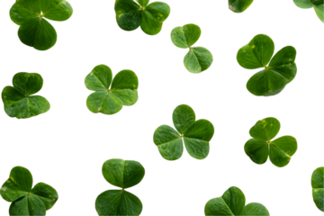 Green Clover Leaves on Transparent Background, PNG