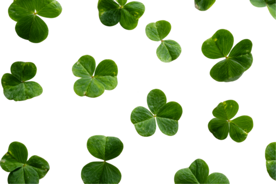 Green Clover Leaves on Transparent Background, PNG - Powered by Adobe