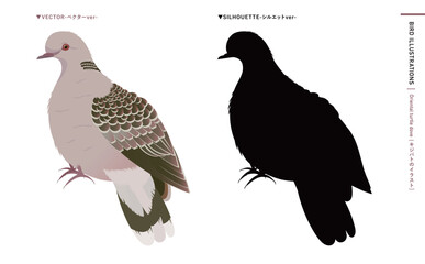 鳩やキジバトなどの野鳥シルエットとリアルなカラーベクターイラスト：ハトのエサやり禁止・注意などにも使える