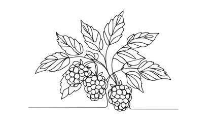 Continuous one single minimal line drawing grape fruit