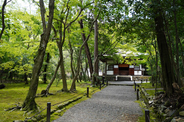 京都洛西地蔵院の境内風景