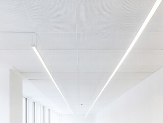 Modern office ceiling with linear lights and acoustic panels in a bright interior space perspective view