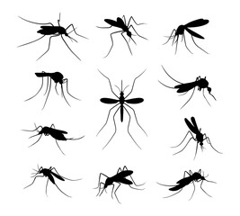 mosquito silhouettes various positions vector collection