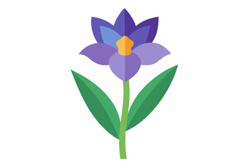 iris flower vector illustration, iris flower isolated 