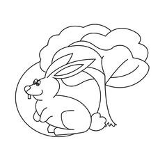 Hare, rabbit line art isolated on white background. Vector illustration