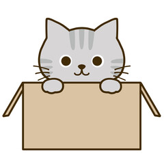 ダンボールに入って何かを伝えるグレーのトラ猫