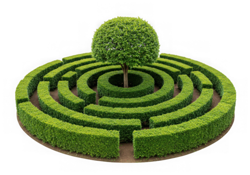 Green hedge maze with tree topiary isolated on transparent background