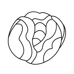 Cabbage line isolated on white background. A bountiful harvest. Vector illustration