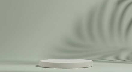 Soft Light, Silent Shadow