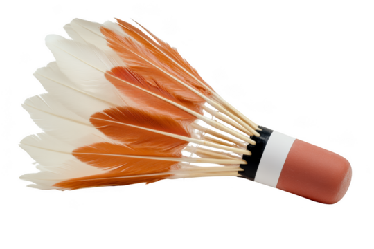 Recreational sport event traditional feather shuttlecock community grounds sports equipment outdoor close-up tradition and culture