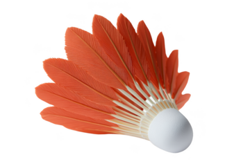 Exciting badminton match sports arena action shot indoor environment dynamic perspective competitive spirit