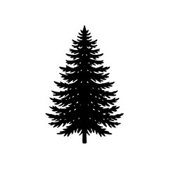 balsam fir .svg