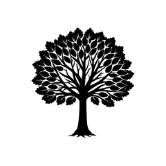 Naklejka premium beech .svg