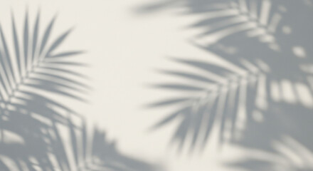 "Tropical leaves shadow overlay on white wall, natural sunlight, realistic photography effect, minimalist organic background
