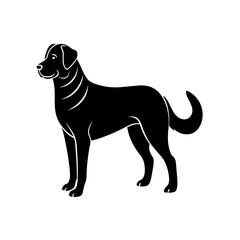 black line anatolian shepherd  .svg