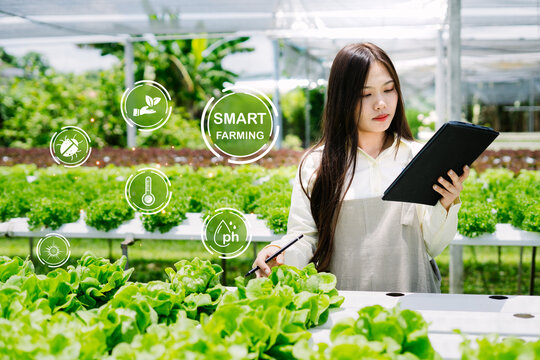 Young Woman Using Tablet for Innovative Smart Farming Solutions - Powered by Adobe