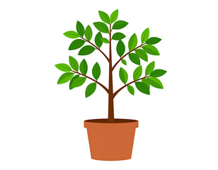 Potted plant illustration