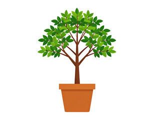 Potted tree illustration