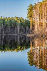 Calm lake with green trees on the shore and a beautiful reflection. Summer landscape.