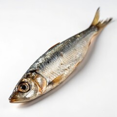 Fototapeta premium Dried anchovy fish on a white surface showcasing its unique shape and texture in high contrast lighting