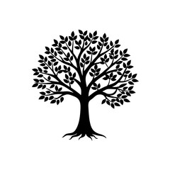 hackberry 