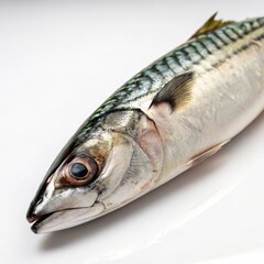 A fresh mackerel fish fillet displayed on a pristine white surface captured in high contrast detail