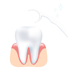 white tooth and dental floss stick isolated, gum, PNG, transparent
