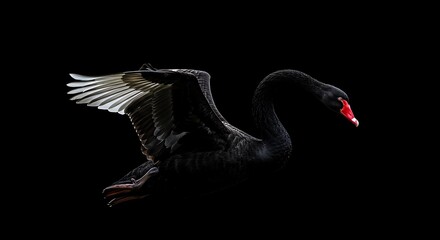 Midnight Flight
