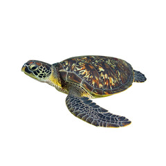 Obraz premium beautiful sea turtle gliding gracefully through water, showcasing its intricate shell patterns and vibrant colors. This majestic creature embodies serenity of ocean life