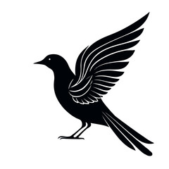 Fototapeta premium Elegant Bird Silhouette with Artistic Tail 