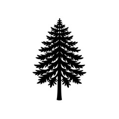 larch  
