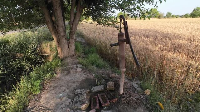 Old Hand Water Pump in Lush Wheat Field under Clear Blue Rural Sky