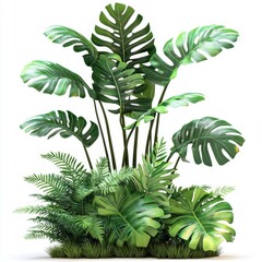 Lush Monstera Plant Arrangement on White Background Studio Shot Green Leaves Tropical Indoor Decoration Home Decor