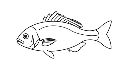 シンプルで汎用性の高い魚の線画イラスト