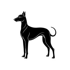 pencil dog drawing   anatolian breed  .svg
