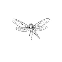 Cute Young Dragonfly Line Drawing in Minimalist Black and White Coloring Book Style Presents High Contrast and White Elements