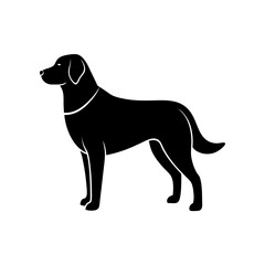 simple anatolian shepherd silhouette  .svg