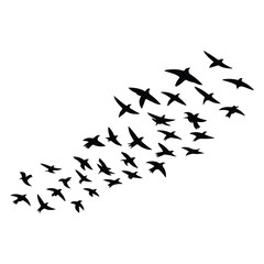 Obraz premium A silhouette of Flying bird Icon vector on a white background