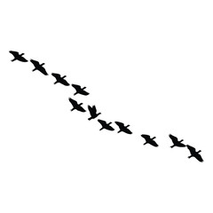 A silhouette of Flying bird Icon vector on a white background