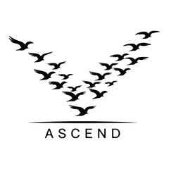 A silhouette of Flying bird Icon vector on a white background