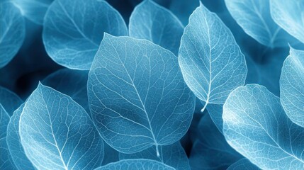 Serene Blue Leaves Nature Background Texture