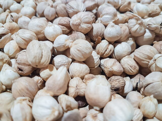 Fototapeta premium A pile of cardamom or kapulaga ( Wurfbainia Compacta ), is widely used as a spice and a folk medicine