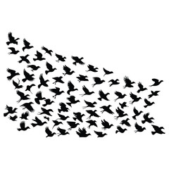 A silhouette of Flying bird Icon vector on a white background