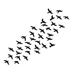 A silhouette of Flying bird Icon vector on a white background