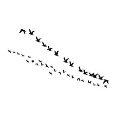 A silhouette of Flying bird Icon vector on a white background