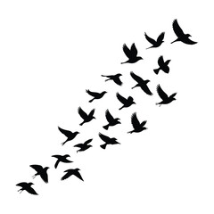 A silhouette of Flying bird Icon vector on a white background
