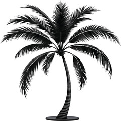 silhouette of palm tree