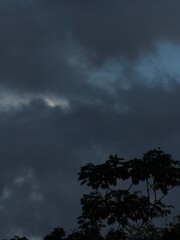 Storm clouds and trees over the forest